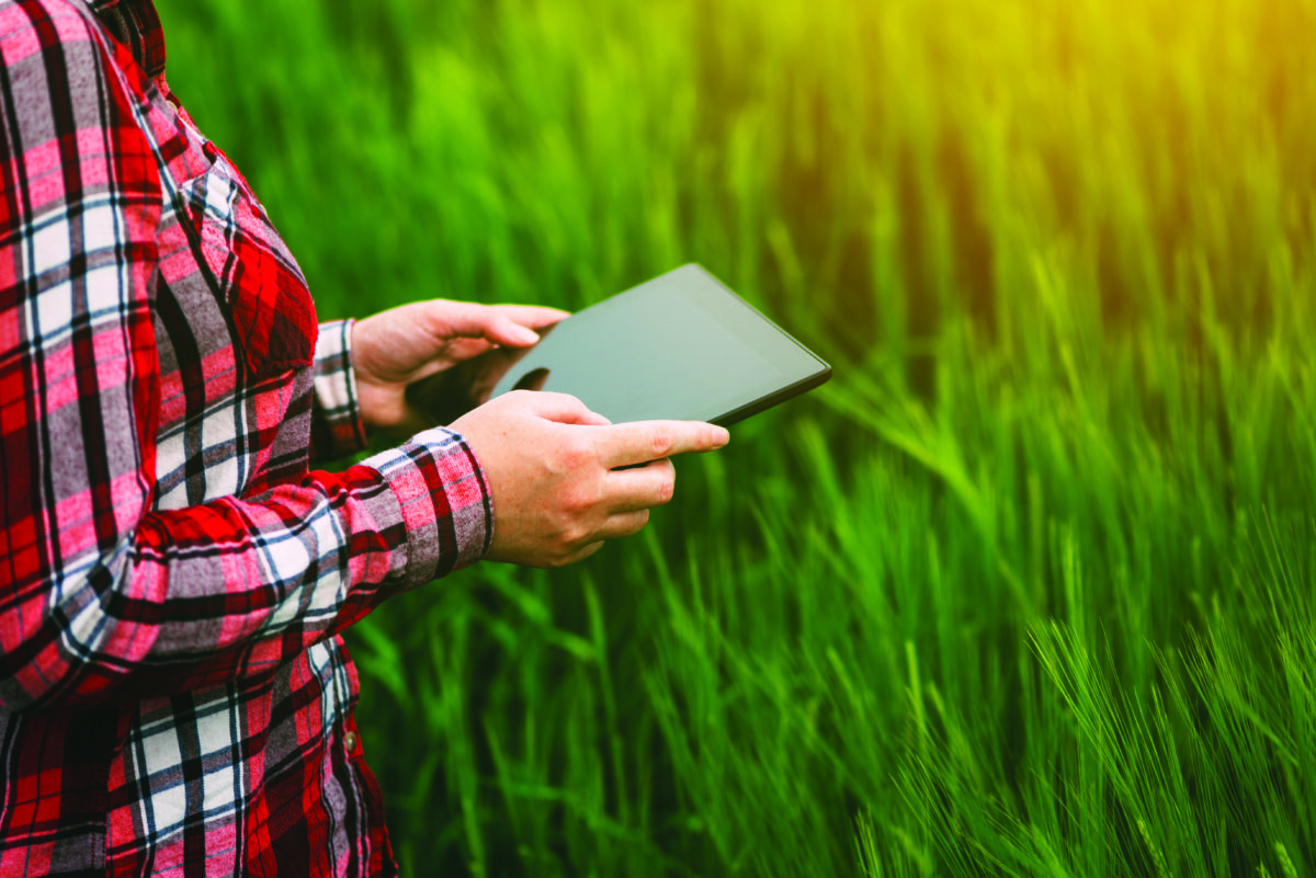 ipad in field